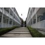 Caparol Capalac TriMaXX FerroCoat